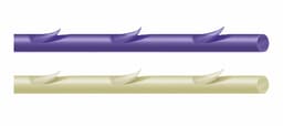 Symmcora® MID monofilament thread-Absorbable knotless suture